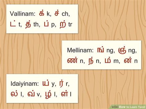 tamil vallinam mellinam idaiyinam|Tamil Language/Letters